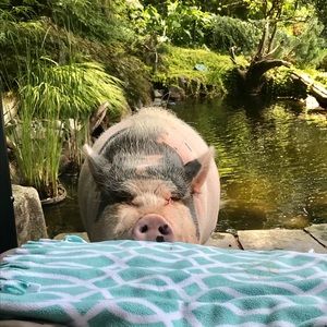 Meet your Posher, Loretta